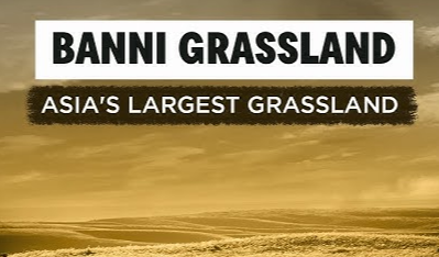 Banni Grassland