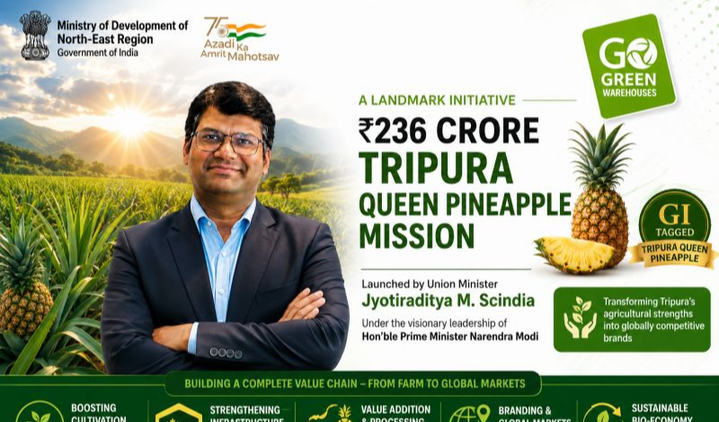Mission Queen Pineapple